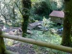 12062010036.jpg