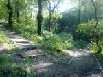12062010042.jpg