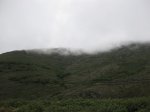 IMG_1445.jpg