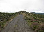 IMG_1446.jpg