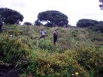 12062010_005.jpg