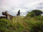 12062010_006.jpg