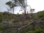 12062010402.jpg