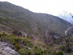 12062010401.jpg