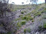 12062010398.jpg