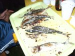PICT2101.jpg