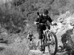 Copia de DSC01517 (Large).jpg