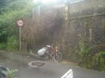 DSC06190.jpg