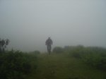 DSC06184.jpg