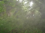 DSC06188.jpg