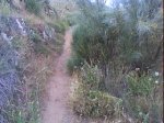 DSC00313.jpg