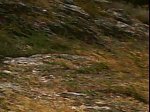 DSC00315.jpg