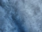 img10090615621.jpg