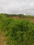 12062010109.jpg