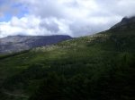IMG_0203.JPG