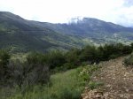 IMG_0205.JPG