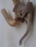 2010-05-23 17.12.19.jpg