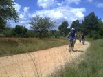 12062010732.jpg