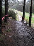 lapinilla2010 019 (Medium).jpg