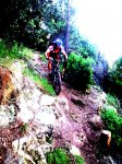 DSCF2440.JPG