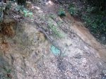 DSCF2457.JPG