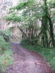 DSC03900.jpg