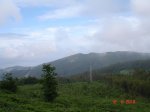DSC03906.jpg