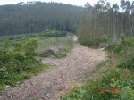 DSC03916.jpg