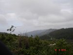 DSC03917.jpg