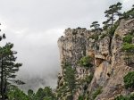 IMG_0935.jpg