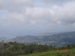 DSC03936.jpg