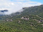 IMG_0953.jpg