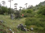 DSC00387.jpg
