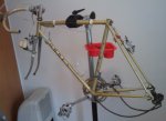 2010-06-02 19.18.04.jpg