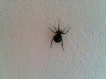 11062010446.jpg
