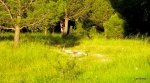 DSCN1663.JPG