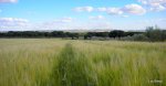 DSCN1660.JPG