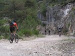 Cazorla1 (17).JPG