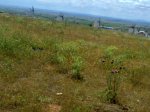 13062010022.jpg