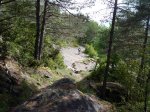 P1000845.jpg