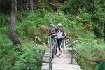 DSC00449.jpg
