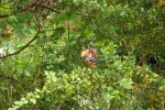 DSC00458.jpg