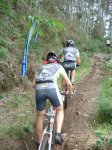 DSC05599.jpg