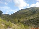 DSC01934.jpg