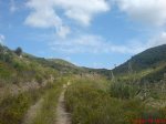 DSC01933.jpg