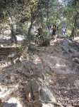 DSC00442.JPG