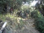 DSC00473.JPG