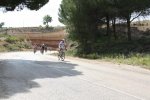Varias 250.jpg