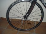 DSC02320.jpg