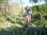enduro 003.jpg